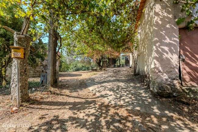 Moradia térrea em Moegas, Ribeira do Neiva - Vila Verde-7