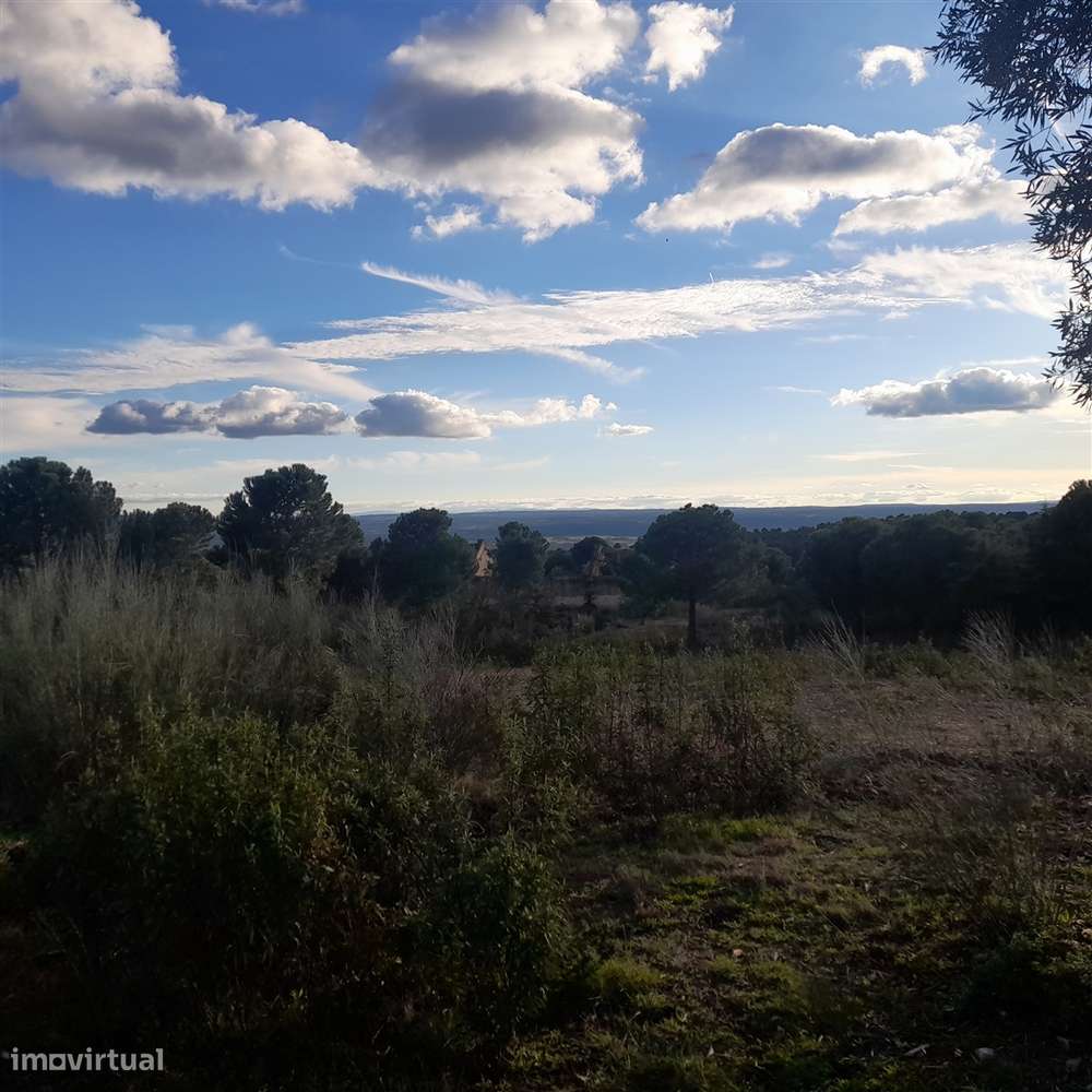 Herdade T5 Venda em Escalos de Baixo e Mata,Castelo Branco-28