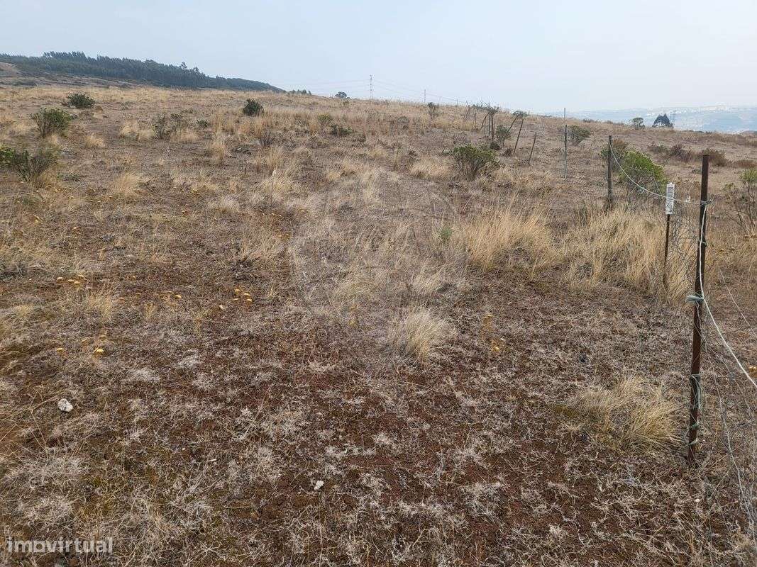 Terreno  para venda - Grande imagem: 5/14