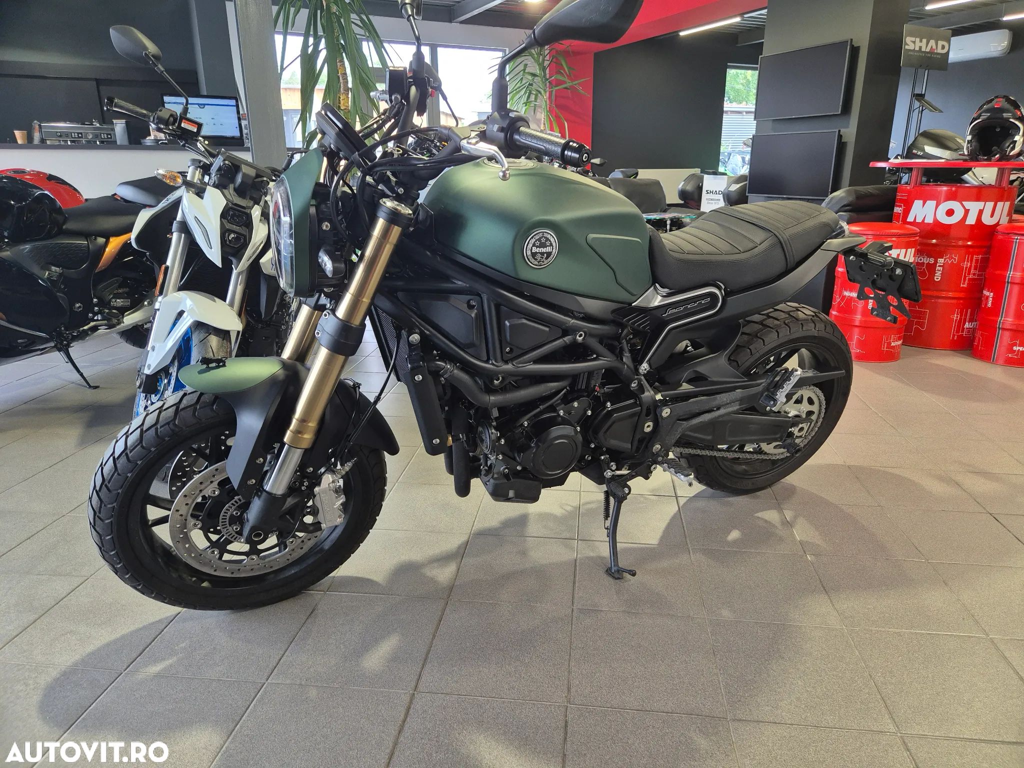 benelli leoncino 500 second hand