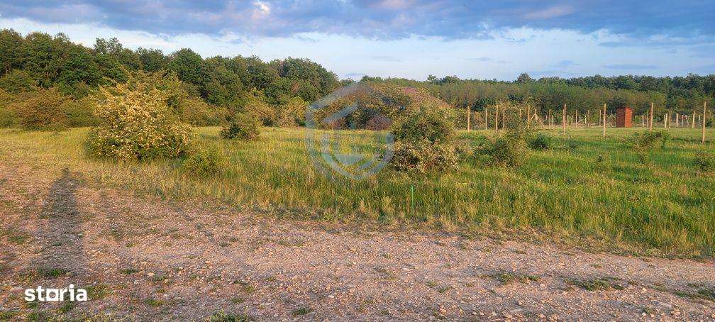 Teren intravilan in Gepiu-0