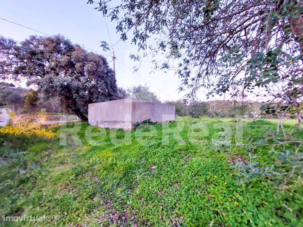 Casa Antiga T3 Venda Faro-8