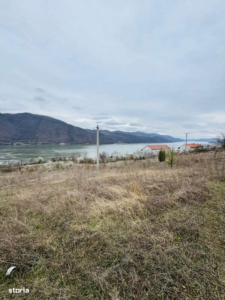 AV644 Teren intravilan, BERZASCA-DUNARE, 6042mp - Imagine principală: 4/9