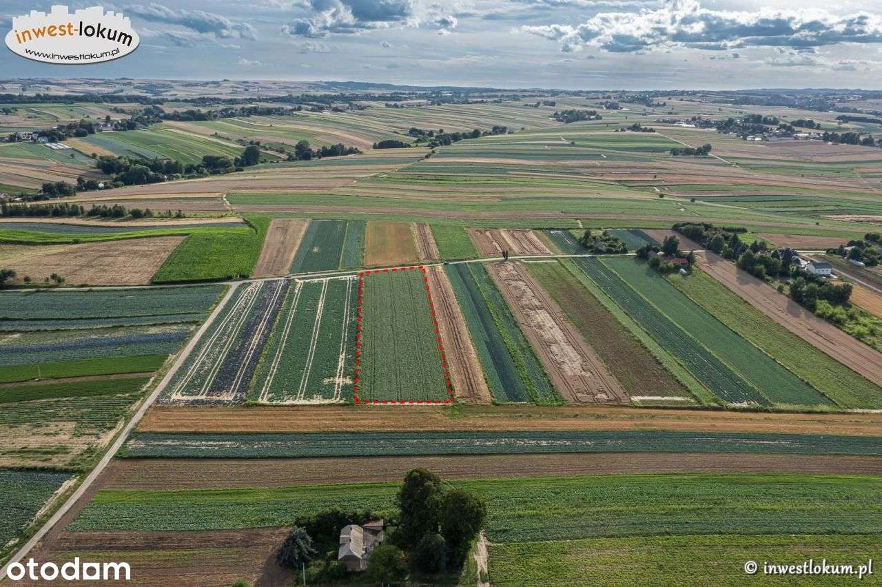 Działka, 8 000 m², Tczyca - Pełny obrazek: 5/6