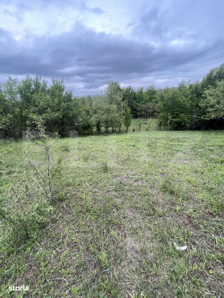 Teren extravilan 5200 mp – Budacul de Jos-  Investitie excelenta! - Imagine principală: 3/3