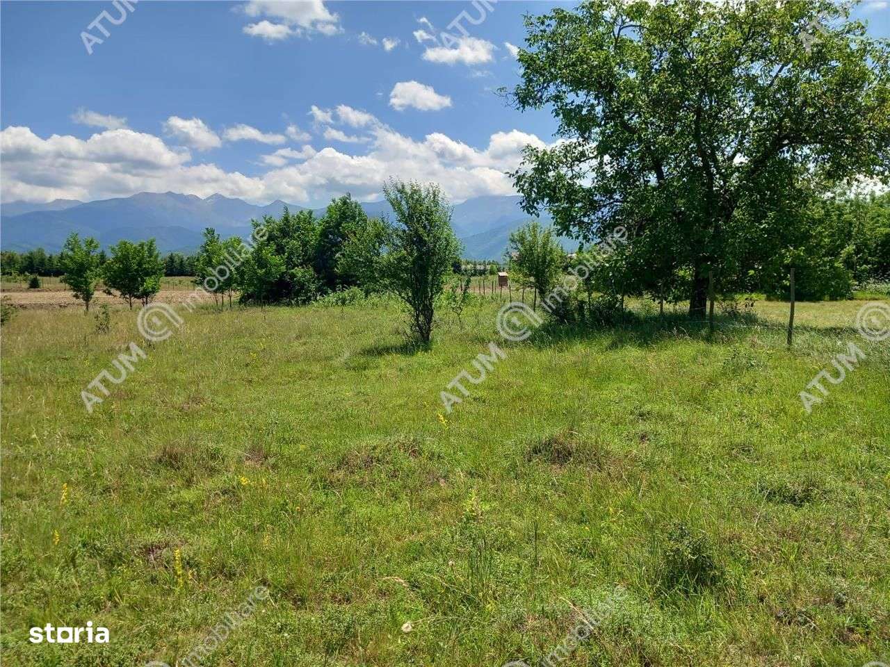 Teren intravilan 5000 mp pe Valea Avrigului, Sibiu - Imagine principală: 4/9