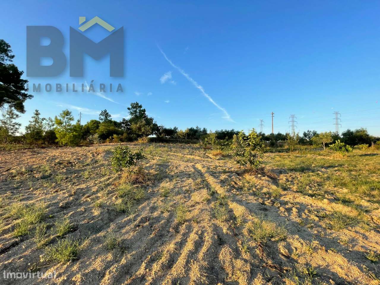 Terreno Rústico  Venda em Castelo Branco,Castelo Branco - Grande imagem: 5/14