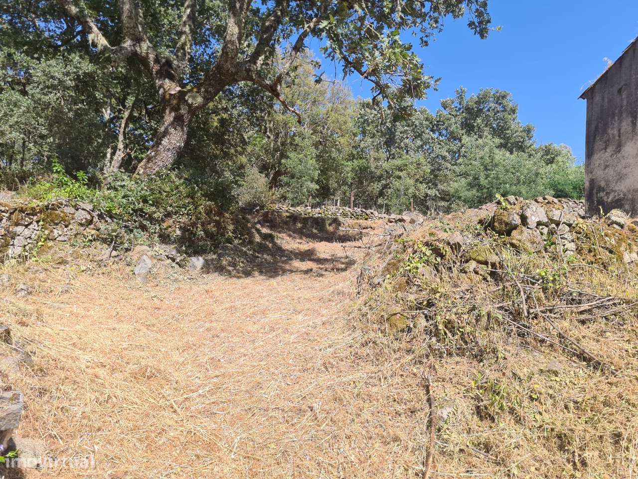 Marvão - Moradia ant. 1951 - Lote 2878 m2, Serra S. Mamede-16