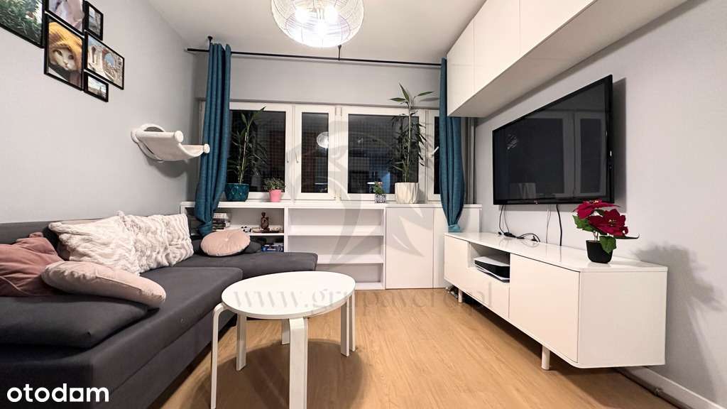 Mieszkanie, w którym kot jest prezesem-12