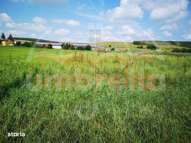 Teren de vanzare in Iclod   DN 1,  ICLOD 5.436 mp - Imagine principală: 4/5