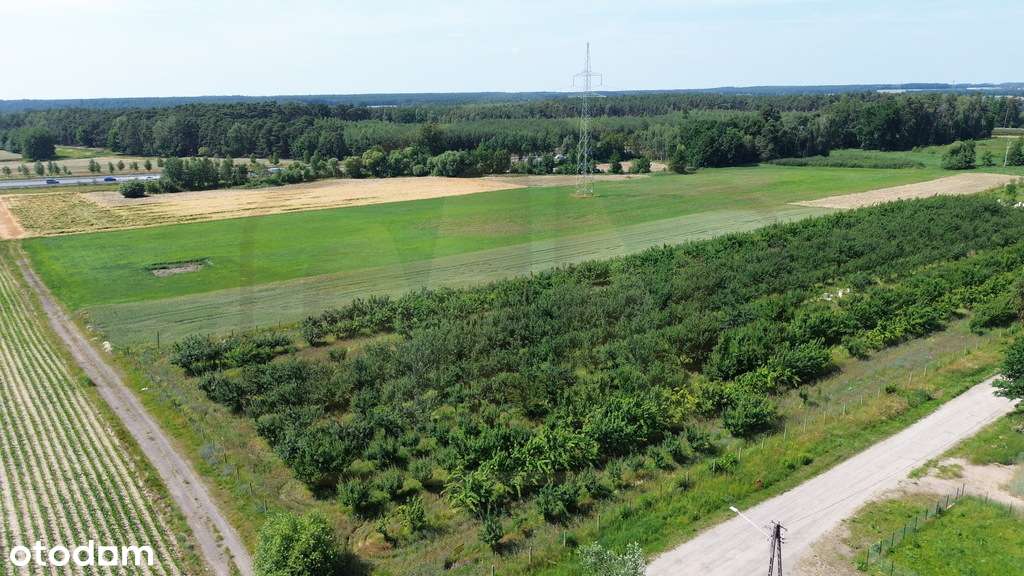 Działki budowlane Mórkowo - Pełny obrazek: 2/6