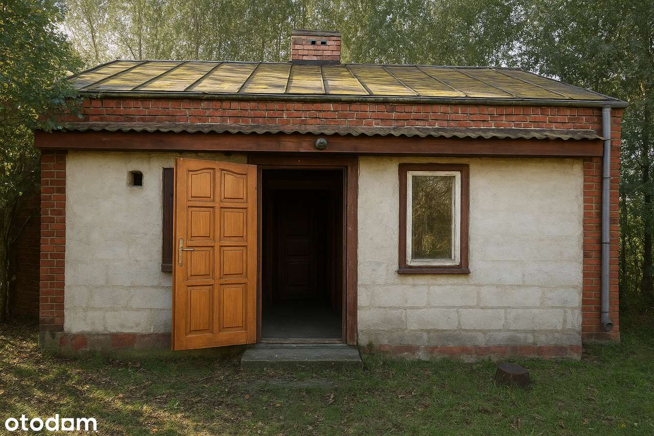 Siedlisko w Głuchowie na dużej działce - Pełny obrazek: 5/16