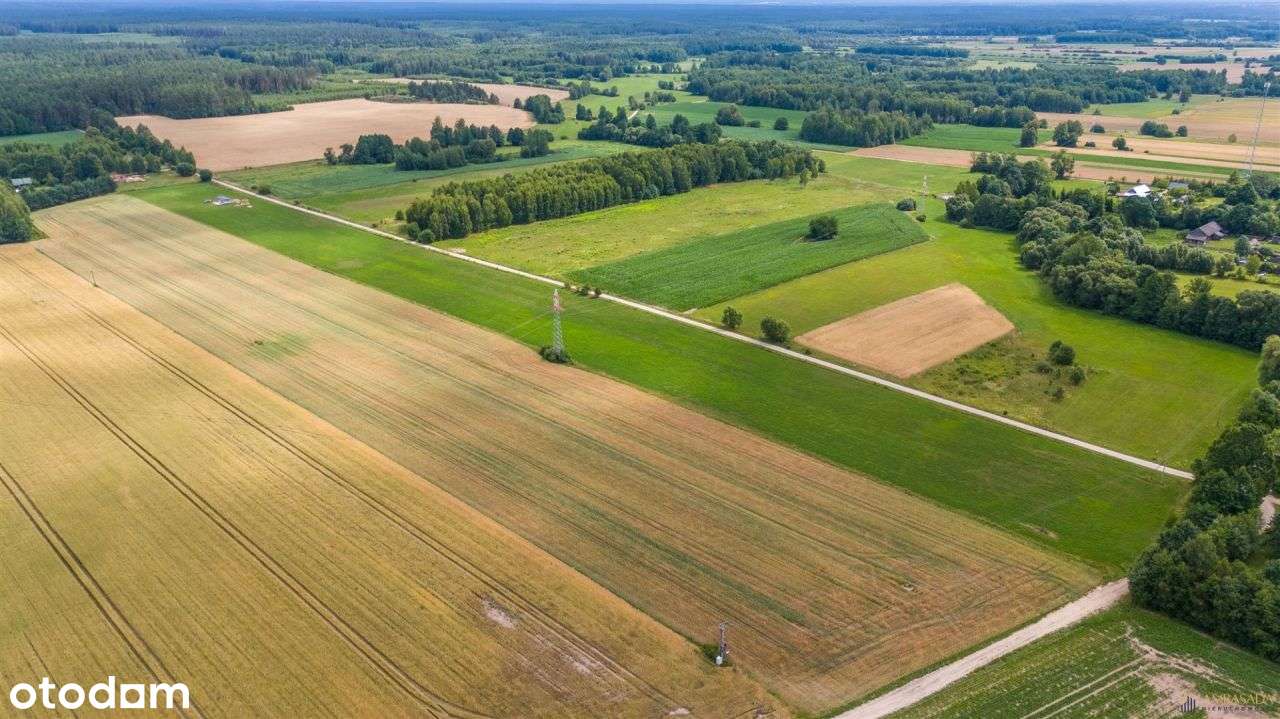 *Działka blisko natury* Podlasie* - Pełny obrazek: 5/5