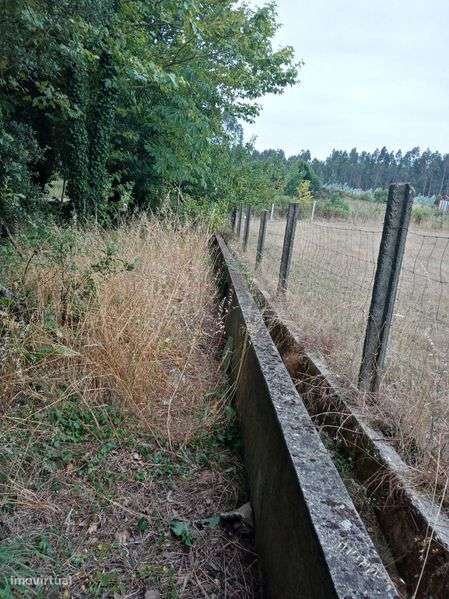 Terreno para venda - Grande imagem: 4/8