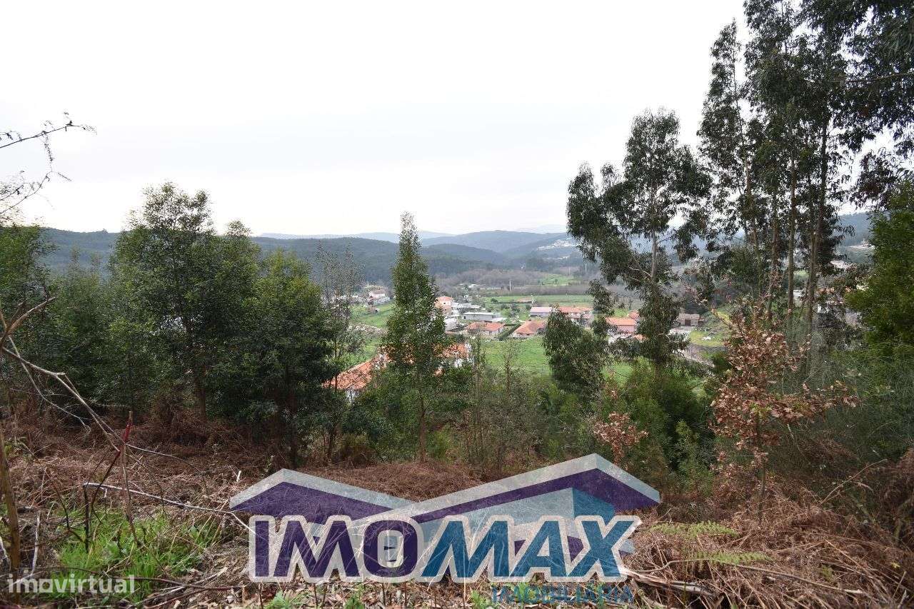 Aidermo, Sorte do Quelheiro -Capela,Penafiel - Grande imagem: 3/7