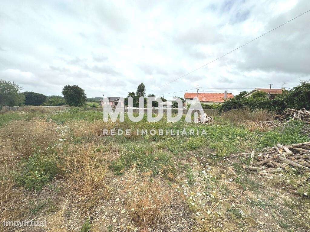 Terreno para construção, Salreu - Estarreja - Grande imagem: 3/5