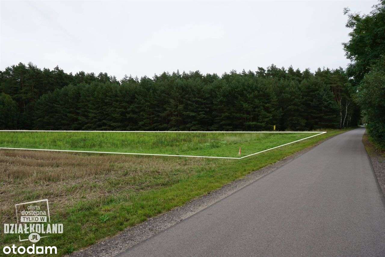 Dz. budowlana 4060 m², Skęczno (Kol. Piła), Zadzim-7