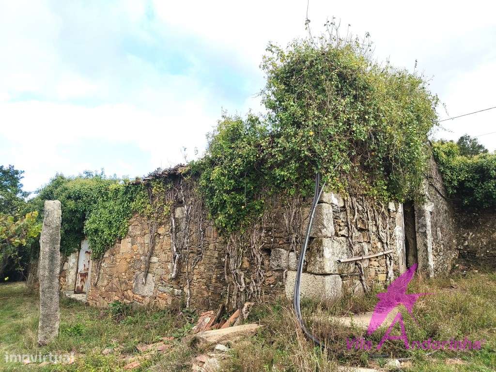 Terreno com Anexo em Pedra em Samonde - Santa Marta de Portuzelo-14