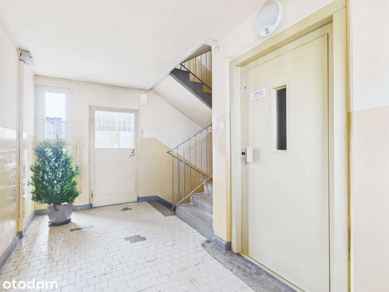 Dwupokojowe mieszkanie - Bolesławiec, ul. Łukasiewicza-11