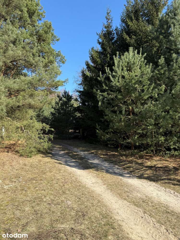 Urokliwa działka budowlana nad jeziorem Laskowskim (200 m do wody)-5