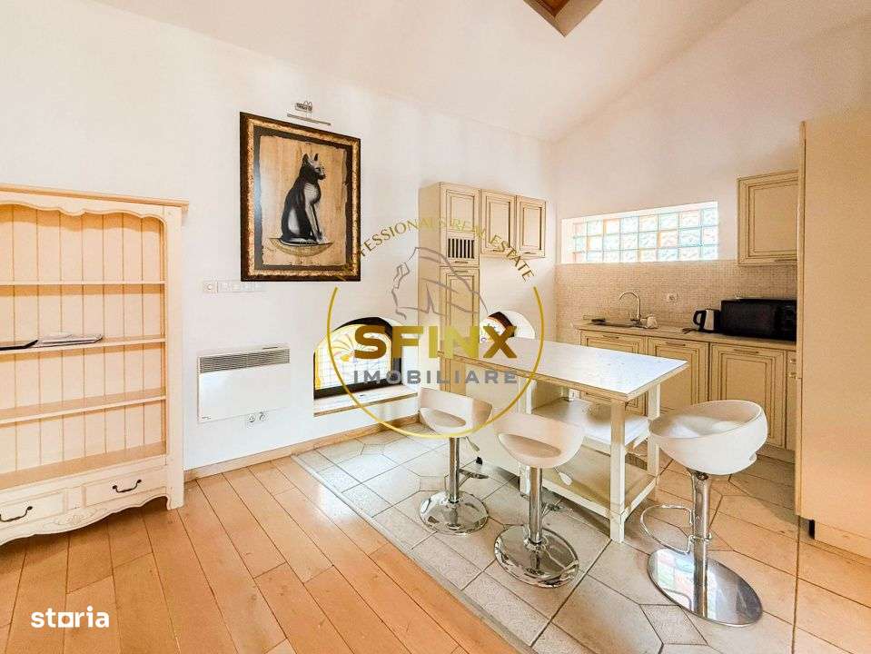 Vila eclectica individuala, curte proprie, zona Armeneasca - Imagine principală: 4/19