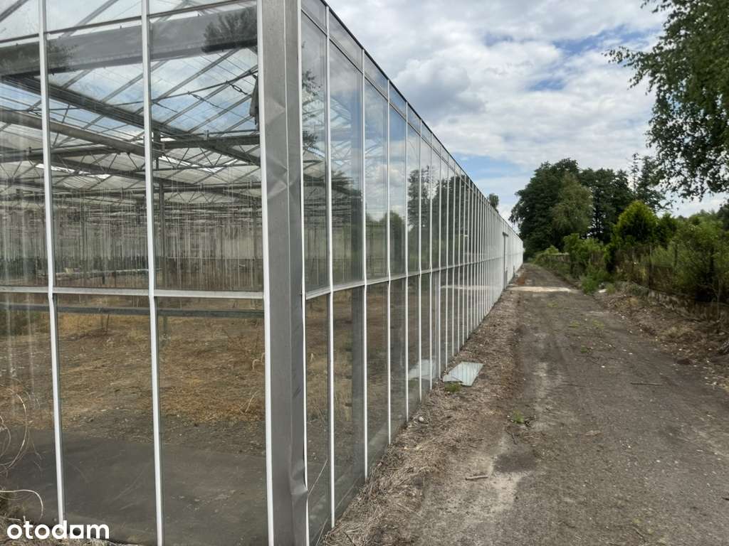 Działka  - 10 500 m2 -   Wszystkie media - Pełny obrazek: 4/8