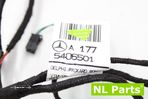 Instalação elétrica da porta Mercedes W177 V177 A1775406501 - 6