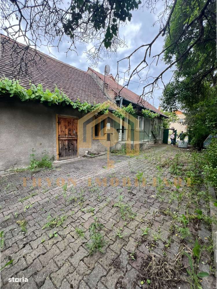 Casă de vânzare în Petrești, Sebeș – teren generos 1961 mp-4