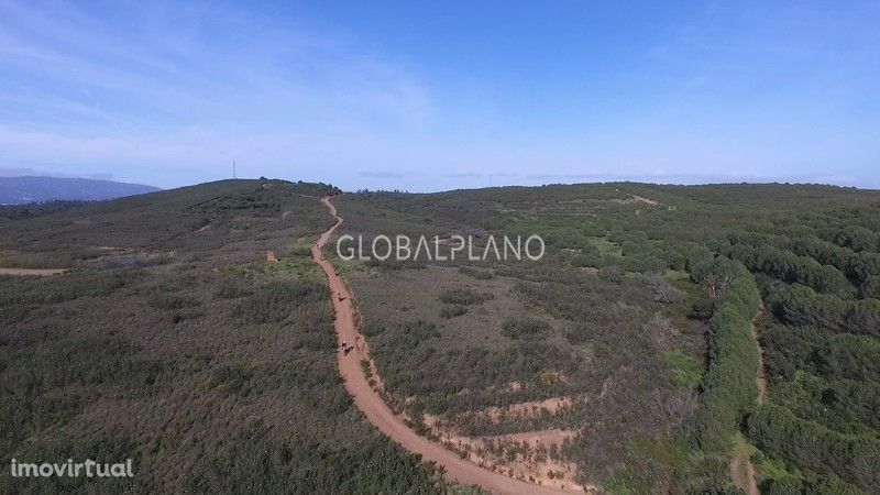 Lote de terreno com 51750m2 Almarjões Mexilhoeira Grande Portimão