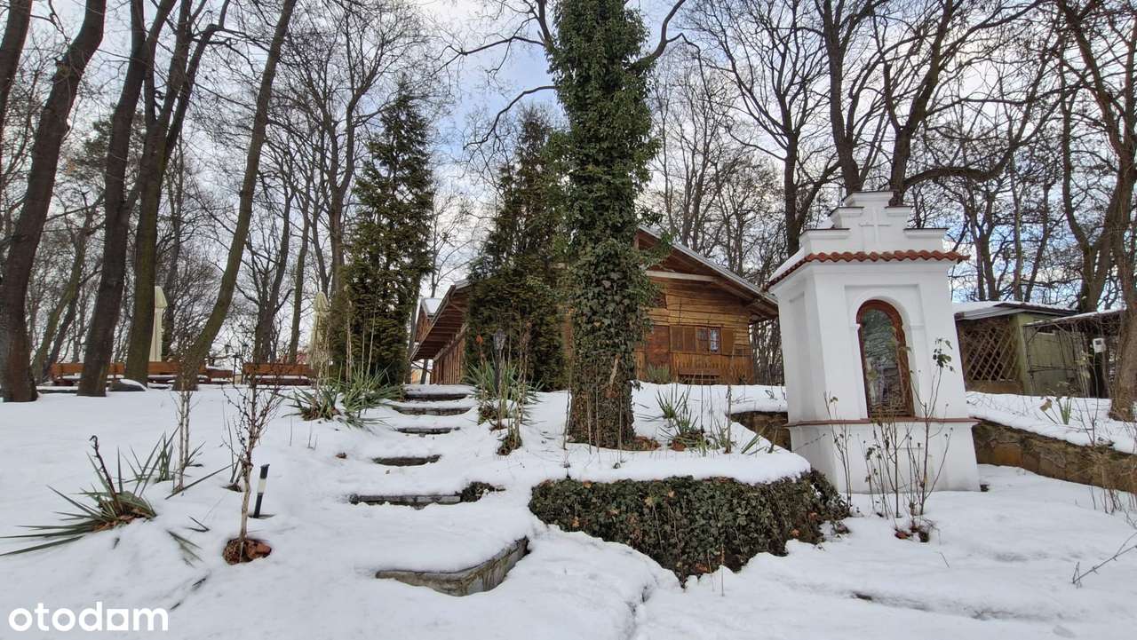 Przepiękny Pałac Tarnowskich czeka na nabywcę.-15