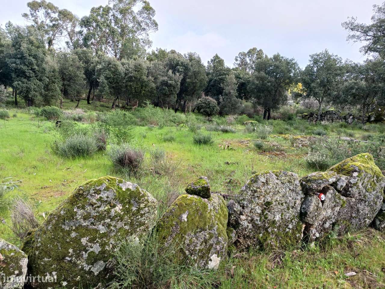 Quintinha - Grande imagem: 4/13