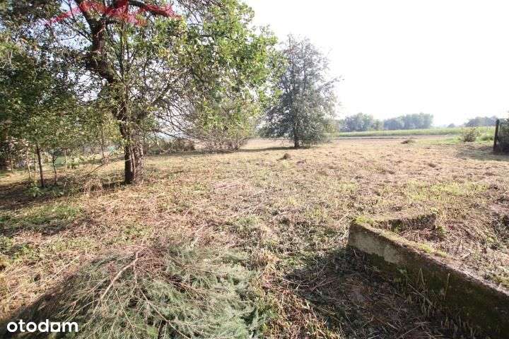 Dom w Jaszczwi - położony na ok. 28ar - Pełny obrazek: 5/17