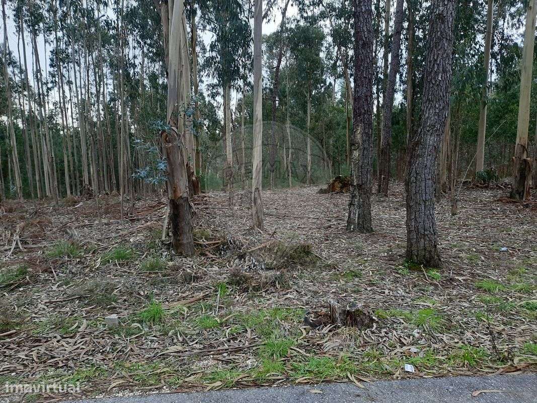 Terreno  para venda - Grande imagem: 3/3