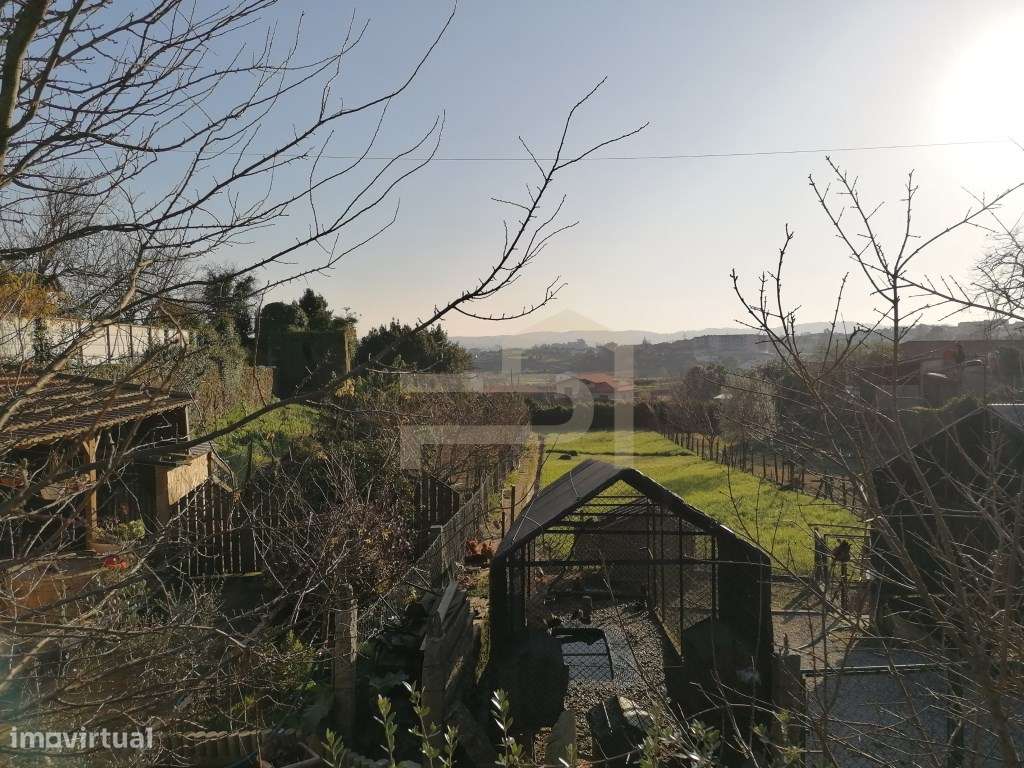 Terreno com 2.430 m² e Ruína em Ribeirão-19