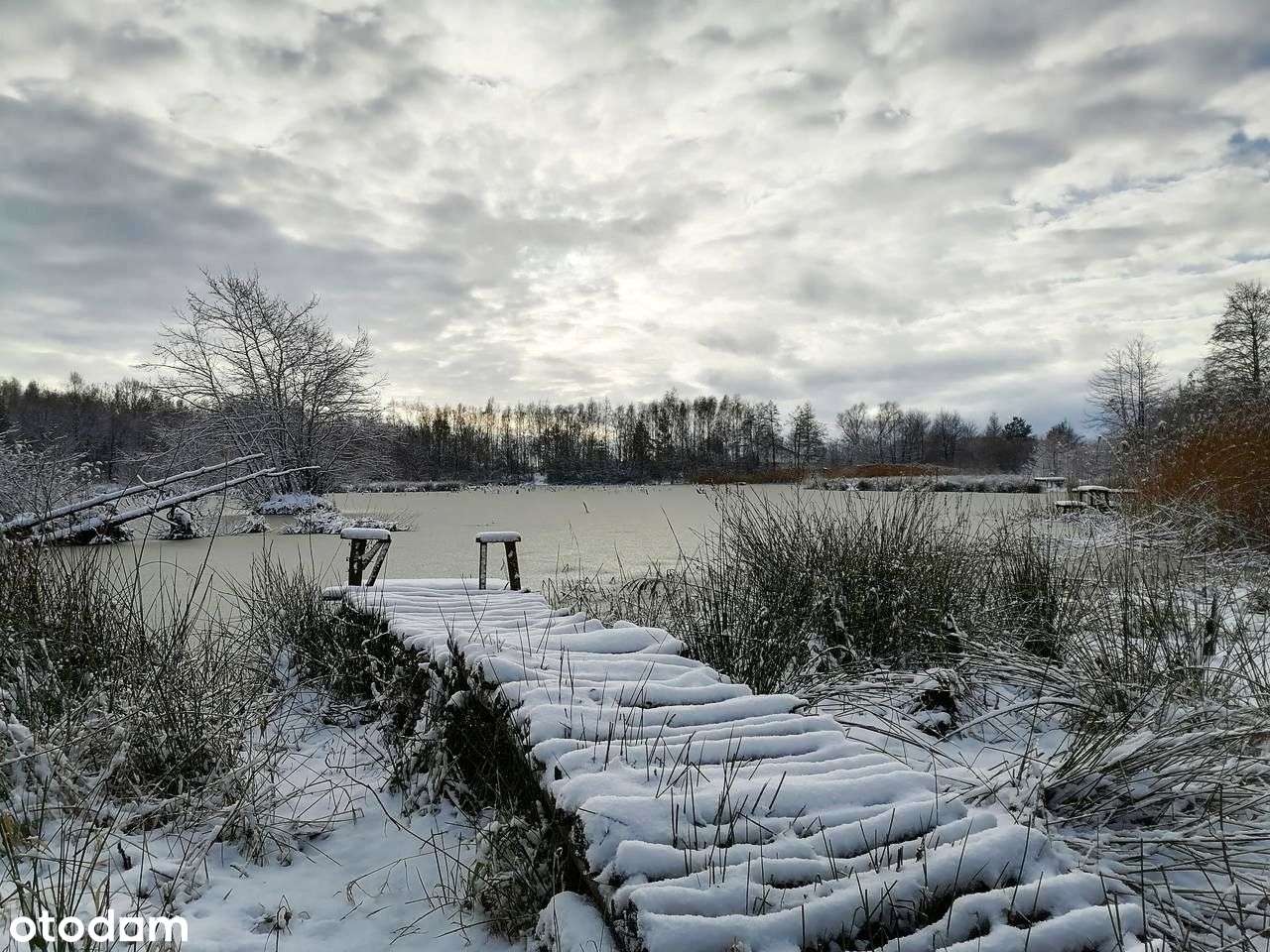 Piękna parterówka z działką - Pełny obrazek: 5/14