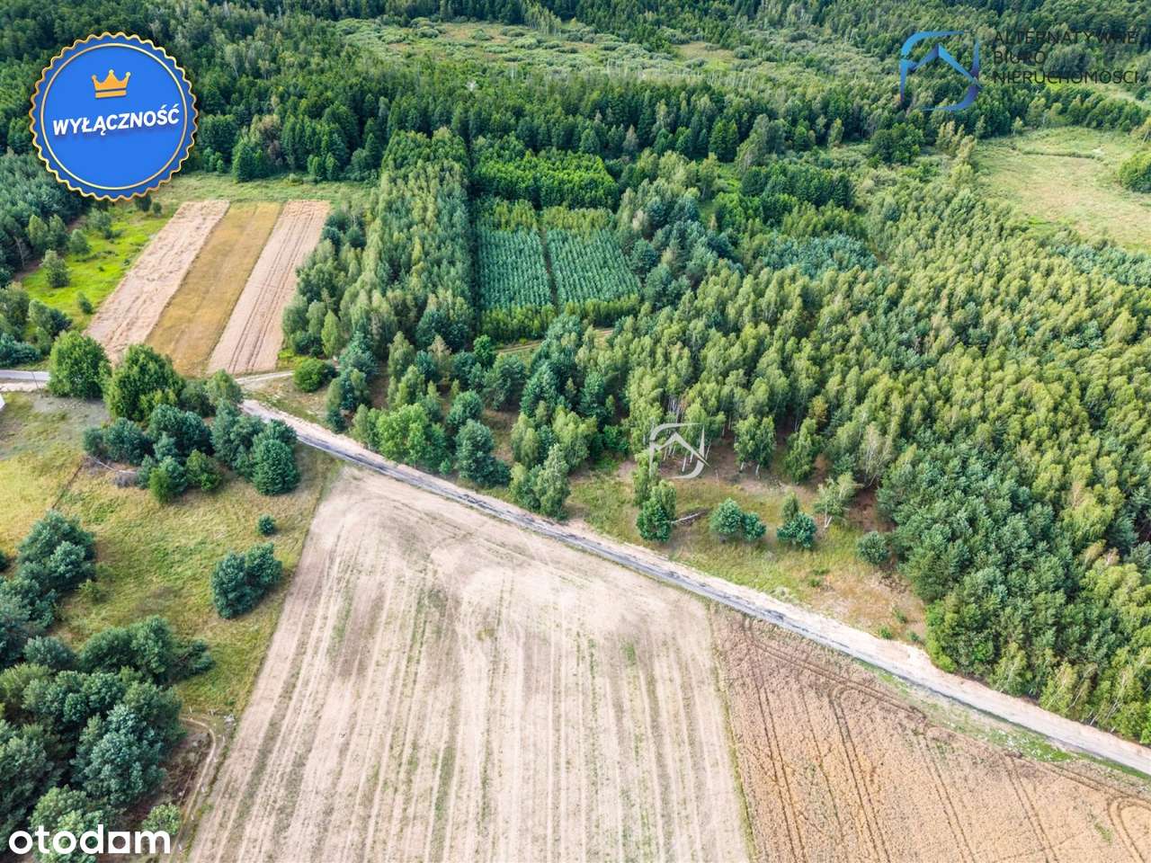 Grunt z potencjałem - 2504m2 - Serniki Kolonia - Pełny obrazek: 4/15