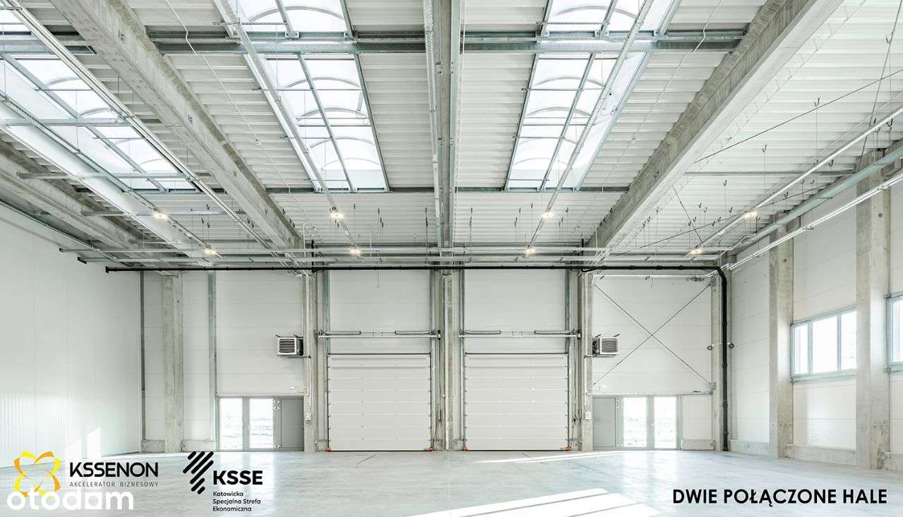 Nowe hale (od 300-1300 m2) KSSENON ulgi podatkowe - Pełny obrazek: 4/17