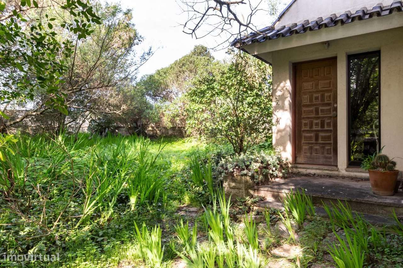 Moradia Isolada T6 com jardim, Birre, Cascais - Grande imagem: 5/34