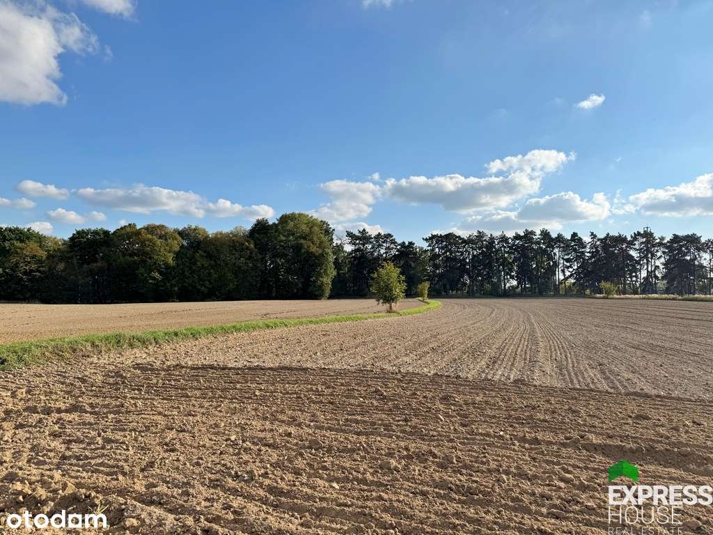 Zamieszkaj przy wyjątkowym wąwozie lessowym! - Pełny obrazek: 5/15