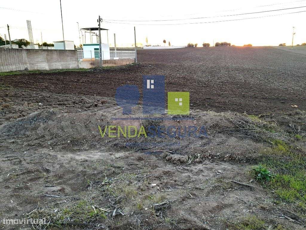 Terreno Rústico em Peroguarda com 2,8 ha | Potencial de Construção - Grande imagem: 3/7