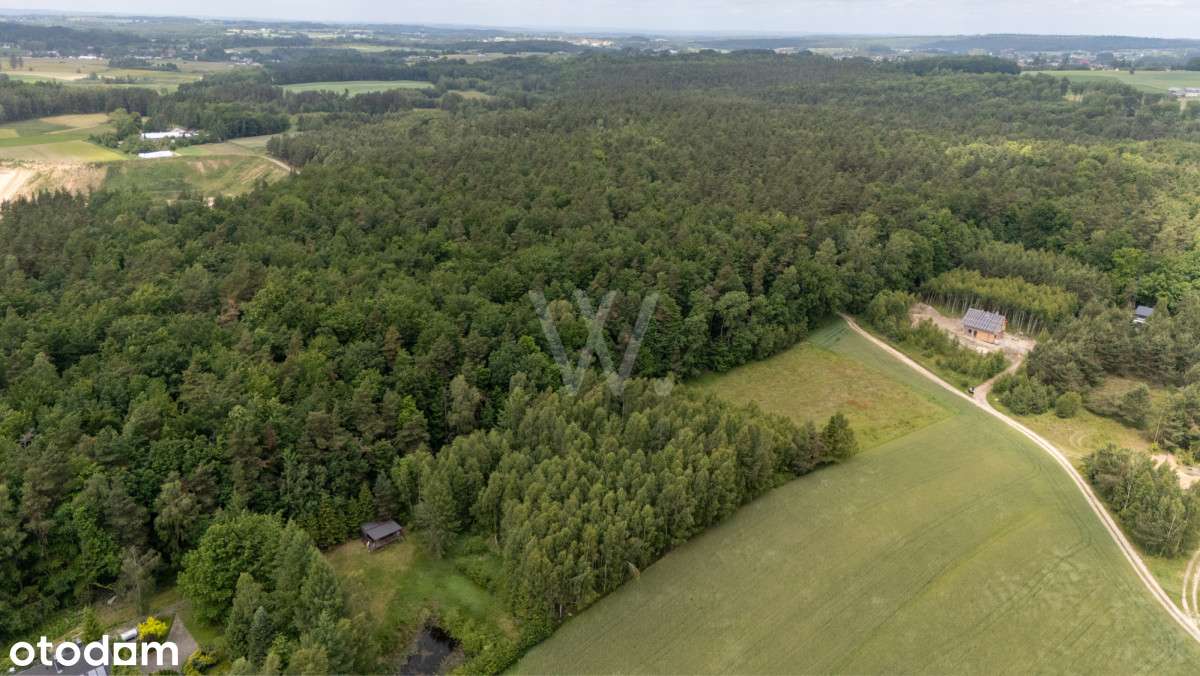 Działka rolna 1500 m² – Donimierz, gm. Szemud - Pełny obrazek: 2/7