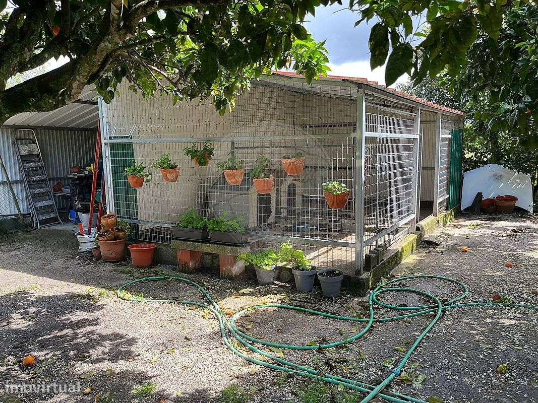 Quinta T3 para venda-27