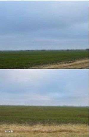 Teren Extravilan Cerna, cota parte 1/5 ID: R2581973 - Imagine principală: 3/7