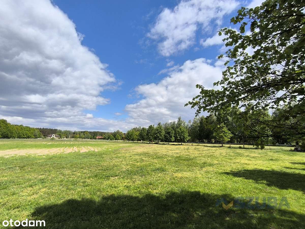 Duża Działka Budowlana w otoczeniu przyrody - Pełny obrazek: 3/16