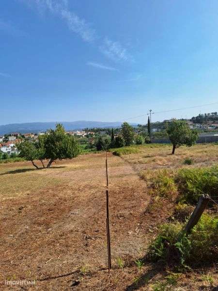 Vende-se ou alugar-se  terreno em Estradinha - Telões - Amarante - Grande imagem: 4/11