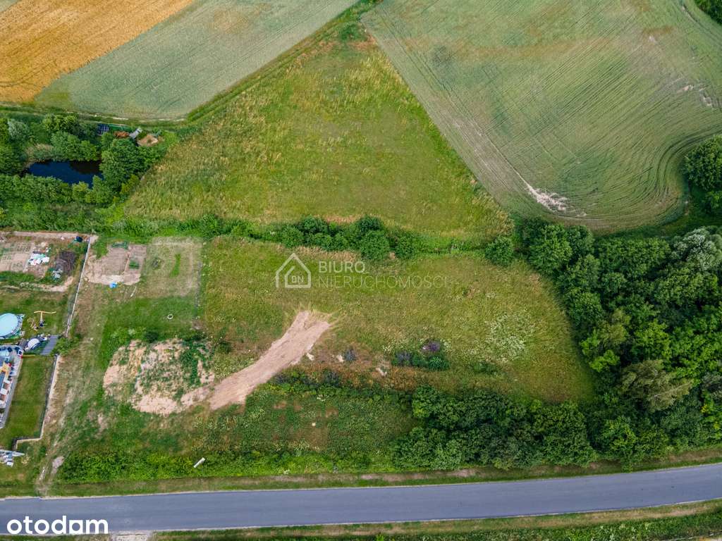 Działka budowlana w Grotnikach Włoszakowice 2000 m - Pełny obrazek: 4/4