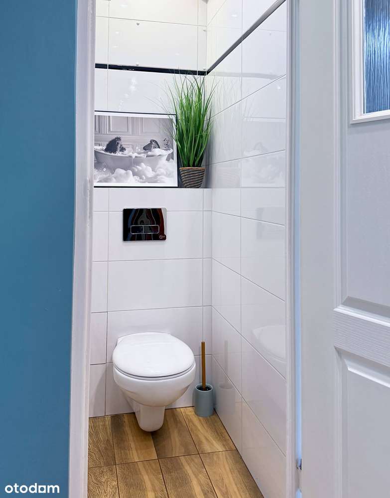 3 oddzielne pokoje ,oddzielna kuchnia, dwustronne, dla obcokrajowców-12