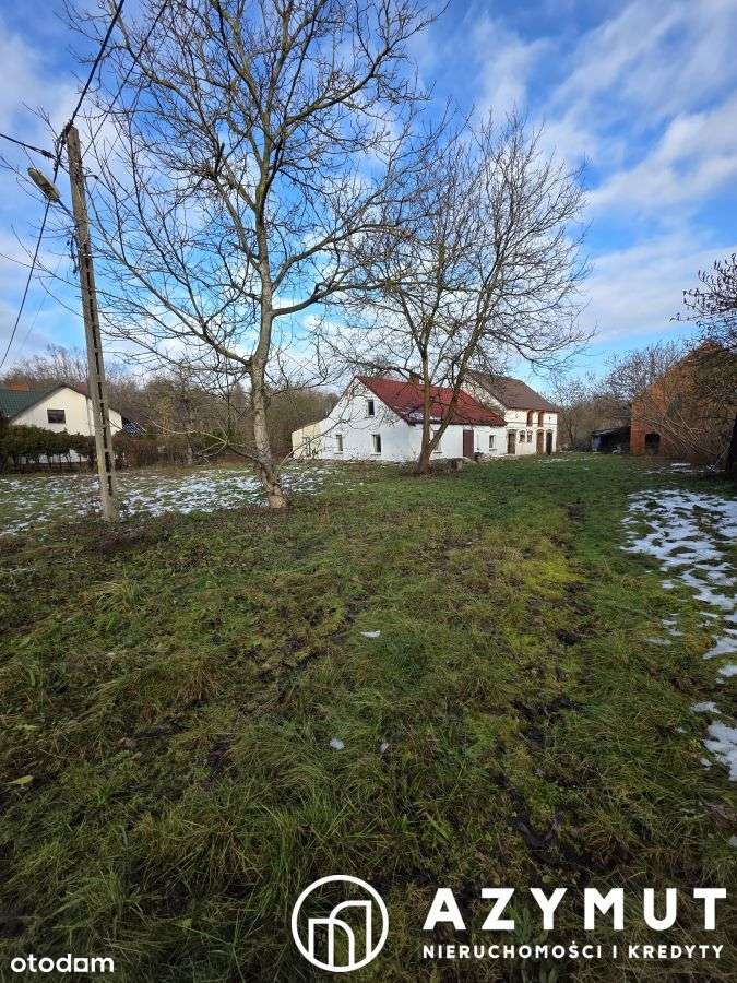 Domek blisko Legnicy duża działka  70 ar. - Pełny obrazek: 4/10