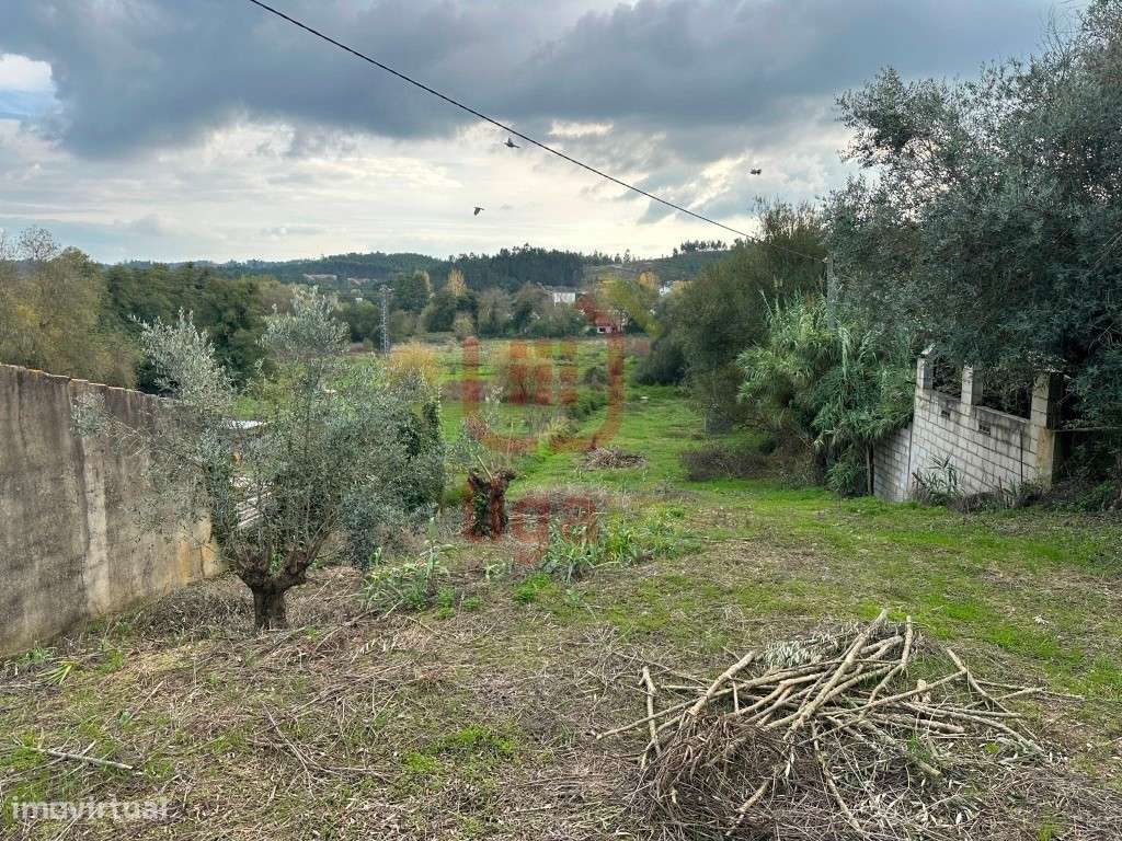Terreno com Viabilidade de Construção - Ourém!-5