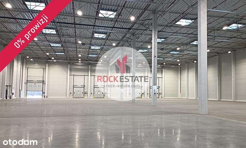 Magazyn na wynajem Zgierz 4050 m2 - 0% prowizji - Pełny obrazek: 4/4